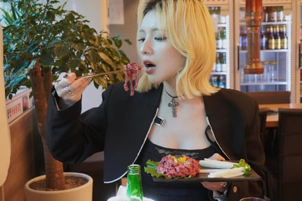 ますぶちさちよが登場したコレクションのビジュアル