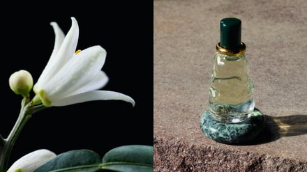 ボッテガ・ヴェネタ 新フレグランスコレクション画像