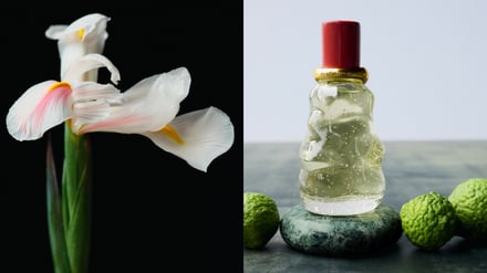 ボッテガ・ヴェネタ 新フレグランスコレクション画像