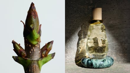 ボッテガ・ヴェネタ 新フレグランスコレクション画像