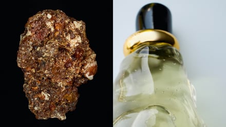 ボッテガ・ヴェネタ 新フレグランスコレクション画像