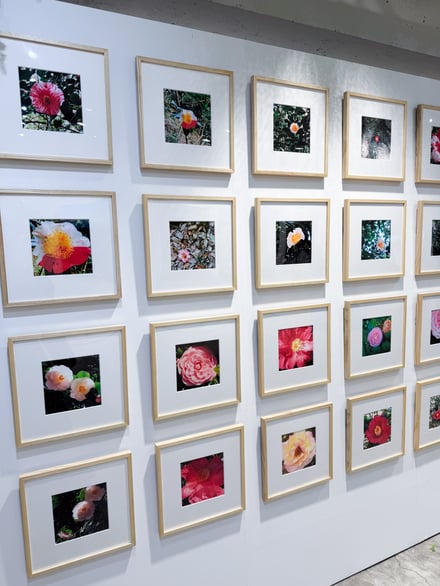 DAIKANYAMA GARAGEでの展示の様子