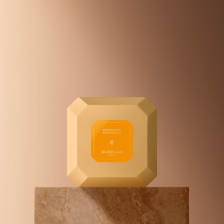 ゲラン ラール ドゥ ヴィーヴル パフューム ソープ アイテム画像