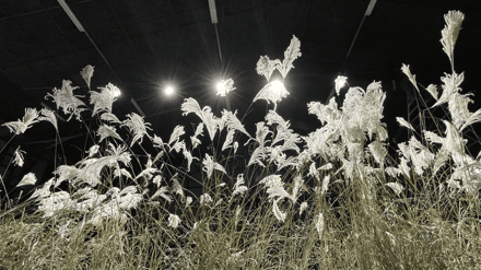 アートプロジェクト「獸(第3章/EDGE)」