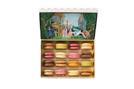 限定マカロンボックス「パリ・オペラ座 ─ 眠れる森の美女」 商品画像
