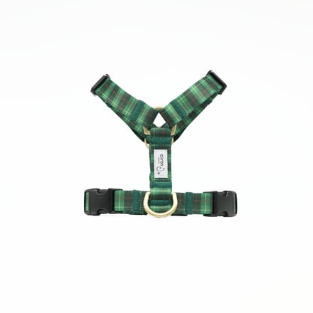 ciiron TOKYOと二階堂ふみのコラボ