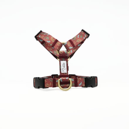 ciiron TOKYOと二階堂ふみのコラボ