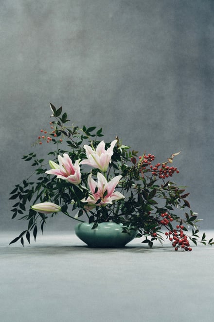 コラボレーションコレクションのヴィジュアル