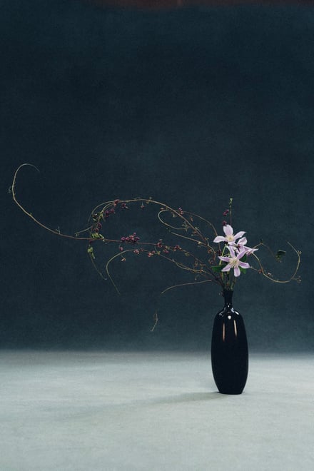 コラボレーションコレクションのヴィジュアル