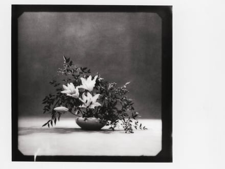 コラボレーションコレクションのヴィジュアル