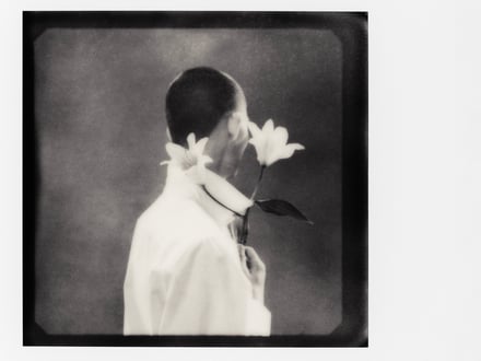 コラボレーションコレクションのヴィジュアル