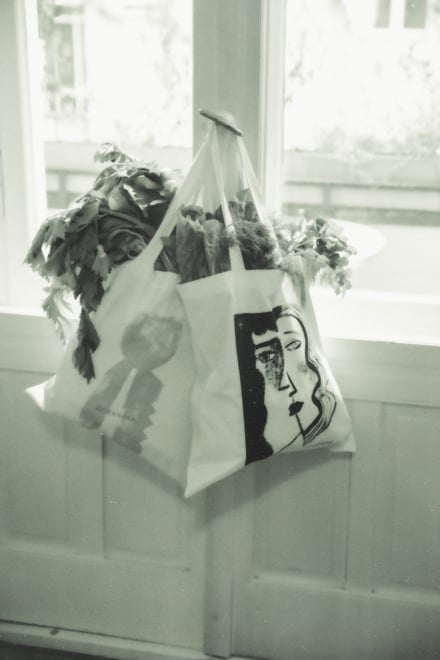 ヴィジュアル画像