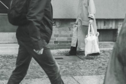 ヴィジュアル画像