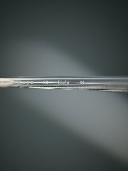 ヴィジュアル画像