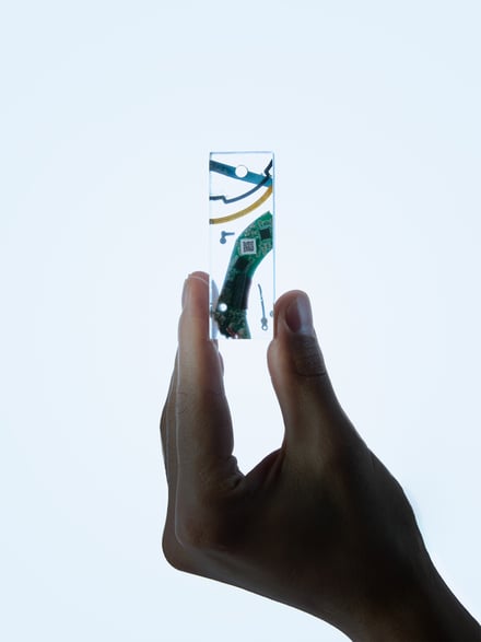 ヴィジュアル画像