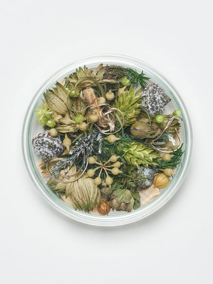 ポップアップショップ展開アイテム