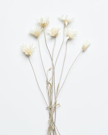 ポップアップショップ展開アイテム