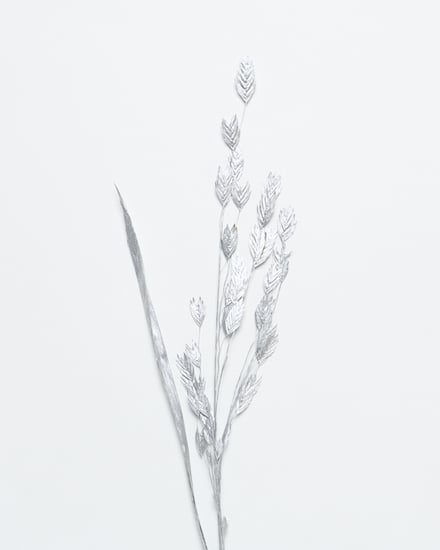 ポップアップショップ展開アイテム