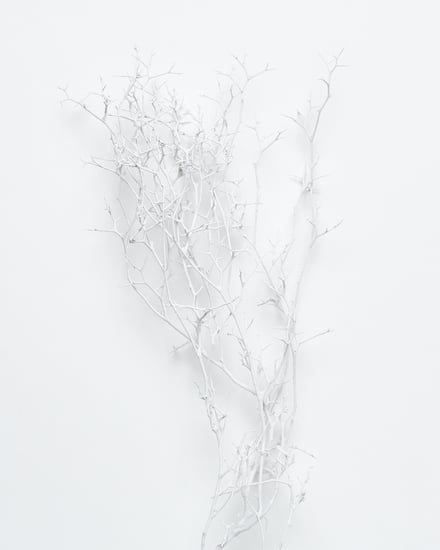 ポップアップショップ展開アイテム