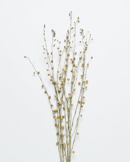 ポップアップショップ展開アイテム