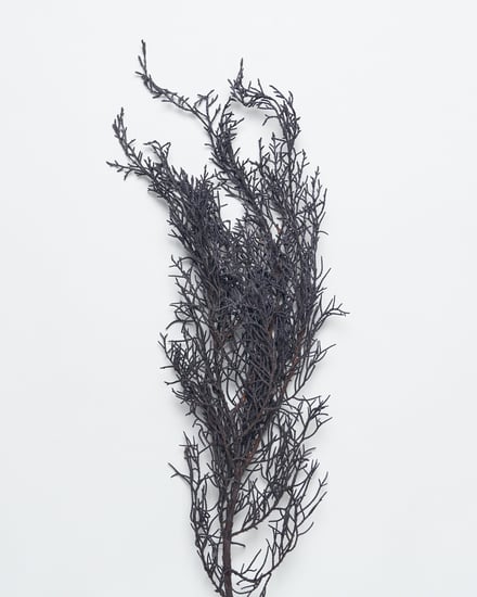 ポップアップショップ展開アイテム