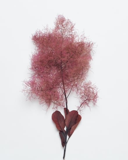 ポップアップショップ展開アイテム