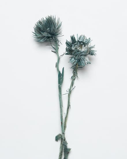 ポップアップショップ展開アイテム