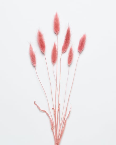 ポップアップショップ展開アイテム