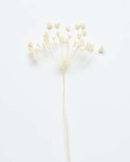 ポップアップショップ展開アイテム