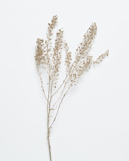 ポップアップショップ展開アイテム