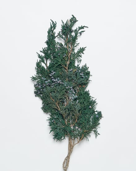 ポップアップショップ展開アイテム