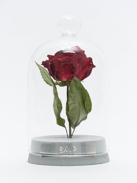 ポップアップショップ展開アイテム