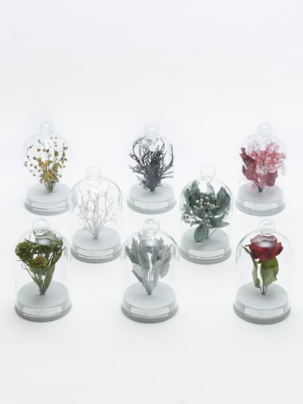 ポップアップショップ展開アイテム