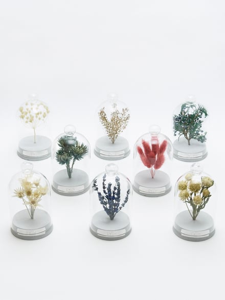 ポップアップショップ展開アイテム