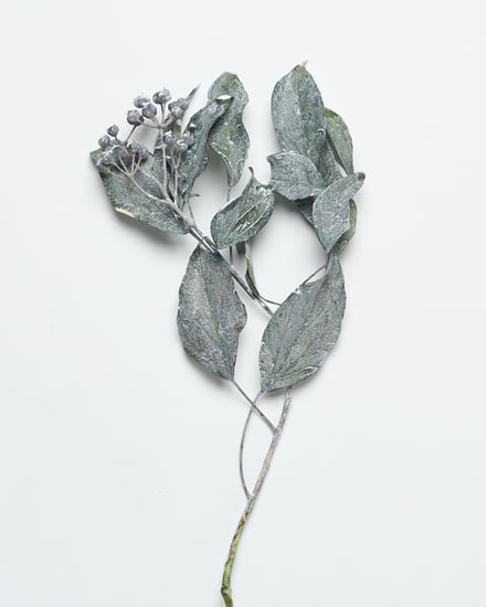 ポップアップショップ展開アイテム