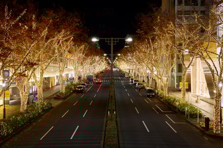 イルミネーションの画像