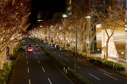 イルミネーションの画像