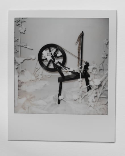 ポラロイド写真