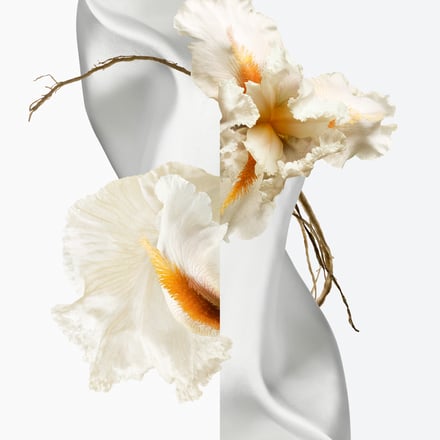 エルメス「ムスク パリダ」