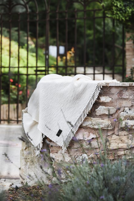 プロダクトショット