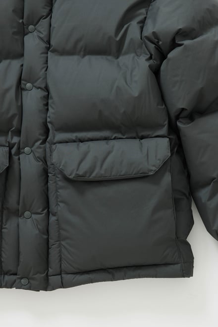 ヴィジュアル画像