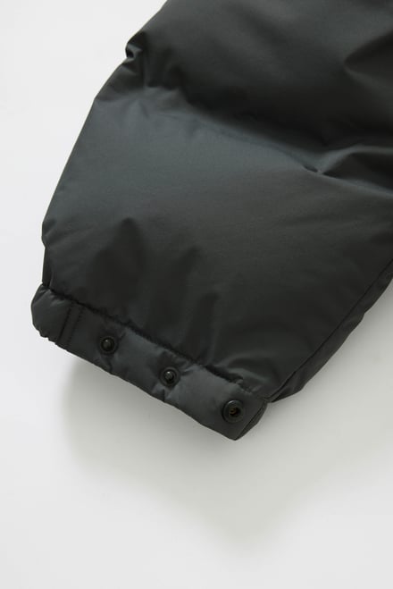 ヴィジュアル画像