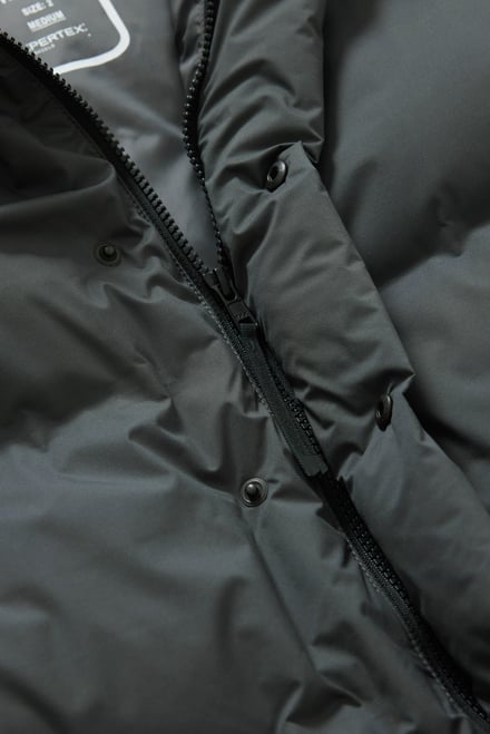 ヴィジュアル画像