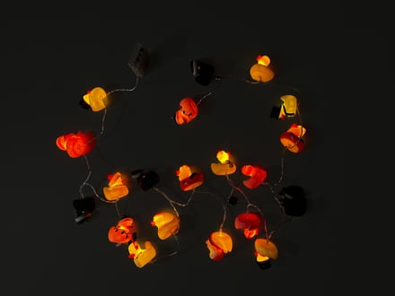 KOTA OKUDA HOLIDAY ITEM