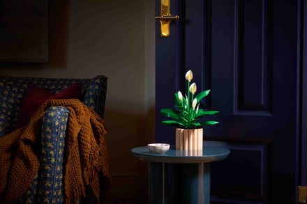 レゴのボタニカルシリーズ