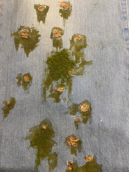 ヴィジュアル画像