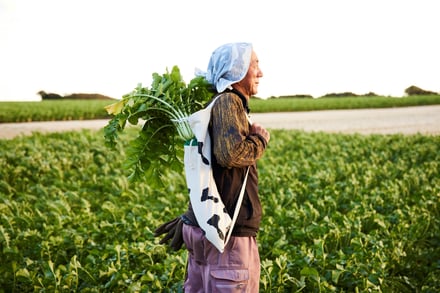 ヴィジュアル画像