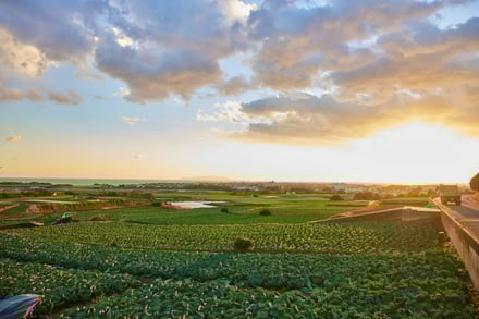 ヴィジュアル画像