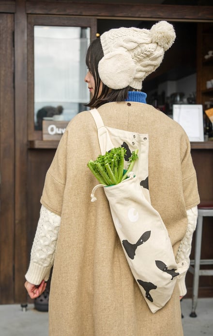 ヴィジュアル画像