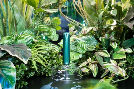 2F アクアグリーン商品展示